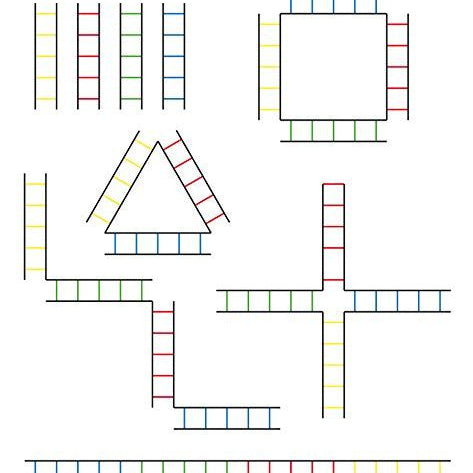 Ram Rugby Fitness Agility Ladder with tubular rungs laid out in a quad 4-way design for multi-directional training