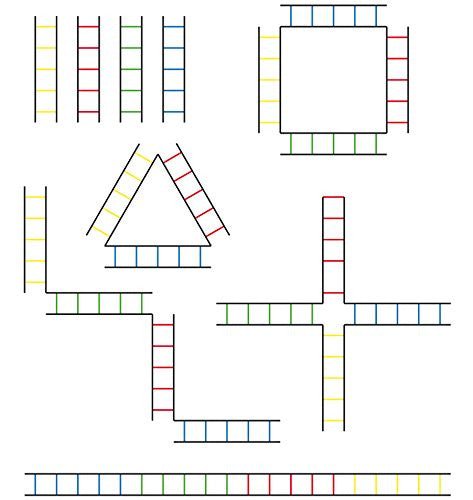 Ram Rugby Fitness Agility Ladder with tubular rungs laid out in a quad 4-way design for multi-directional training